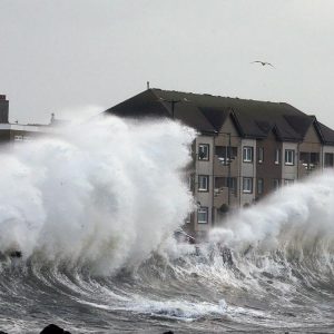 Storm Damage
