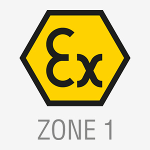 Zone 1 EX CCTV Surveys
