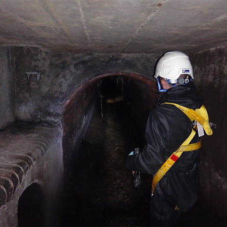 Trunk Sewer Surveys